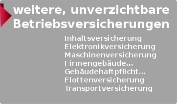 weitere Betriebsversicherungen
